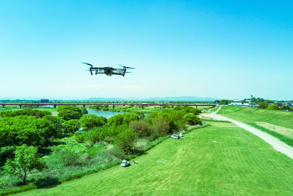 �h���[���̎ʐ^