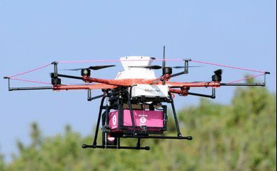 �h���[���̎ʐ^